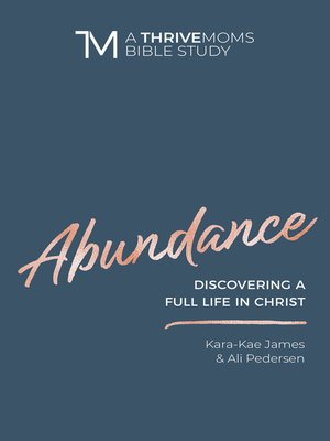 cover image of Abundance